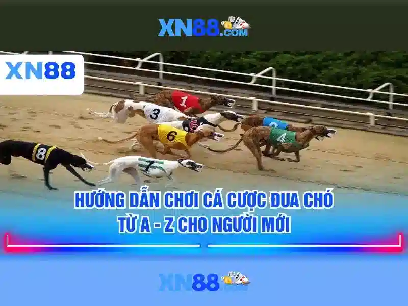 XN88 - Ứng Dụng XN88 App Com Cho Người Chơi Slot Trải Nghiệm Đỉnh Cao