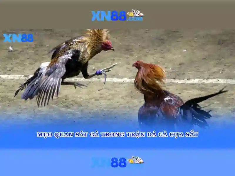 hướng dẫn chơi slot