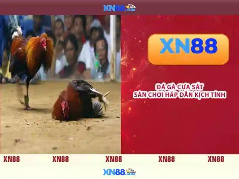 Rút tiền Slot XN88 nhanh chóng