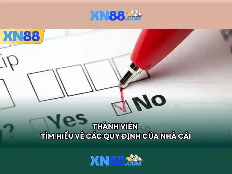XN88 Win