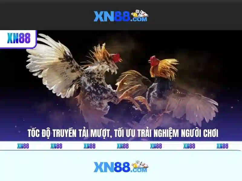 Cá cược trực tuyến XN88