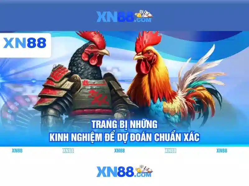 Hướng Dẫn Đăng Nhập Vào XN88
