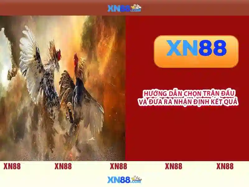 Đăng Nhập XN88 – Hướng Dẫn Sử Dụng Google Play Cho Người Chơi Slot 2026