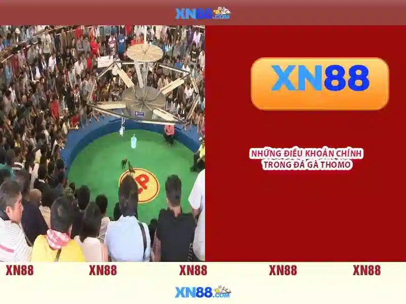 Trải Nghiệm Slot Đỉnh Cao Tại XN88