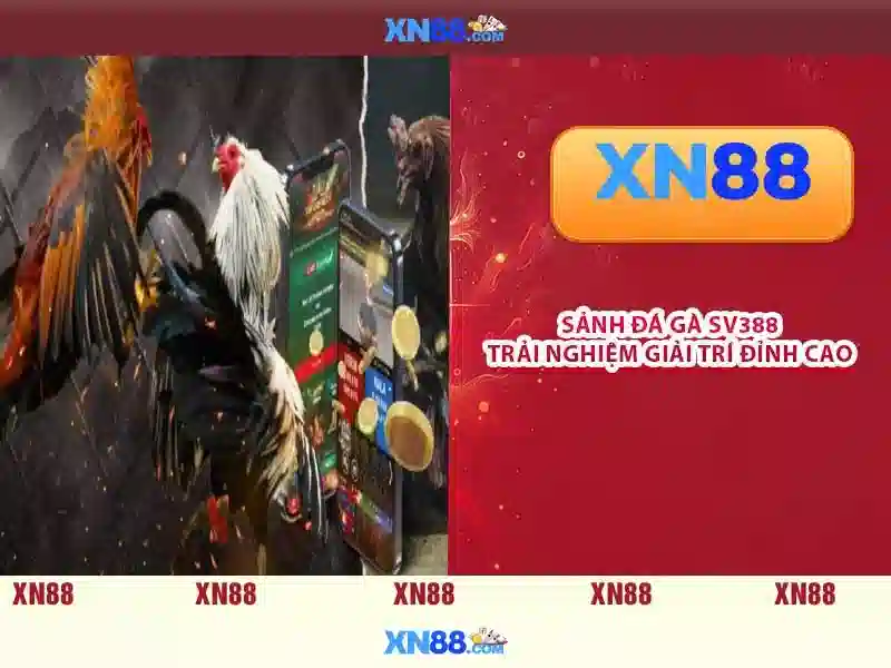 XN88 chính thức