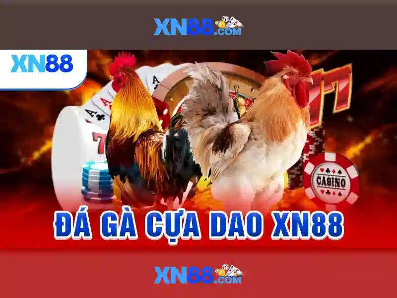 Hướng dẫn truy cập