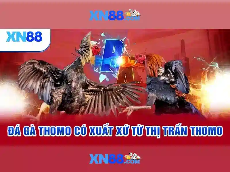 Tải XN88 APK