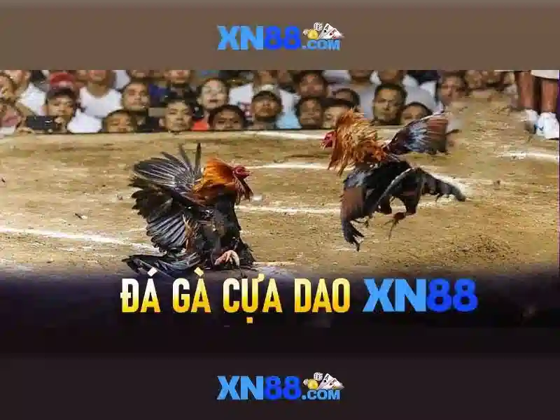 XN88 slot trực tuyến