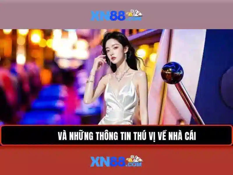Đăng Nhập XN88 – Trải Nghiệm Ứng Dụng XN88 App Com 2026