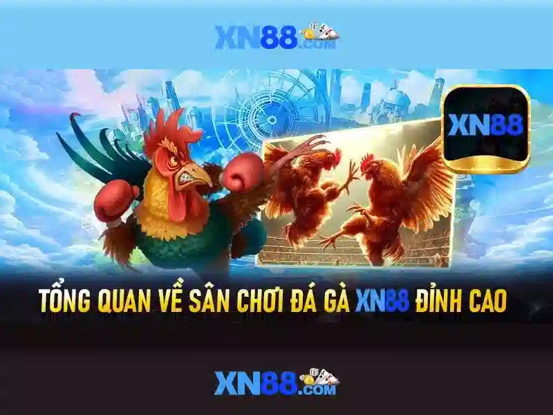 Trải Nghiệm Chơi Game XN88