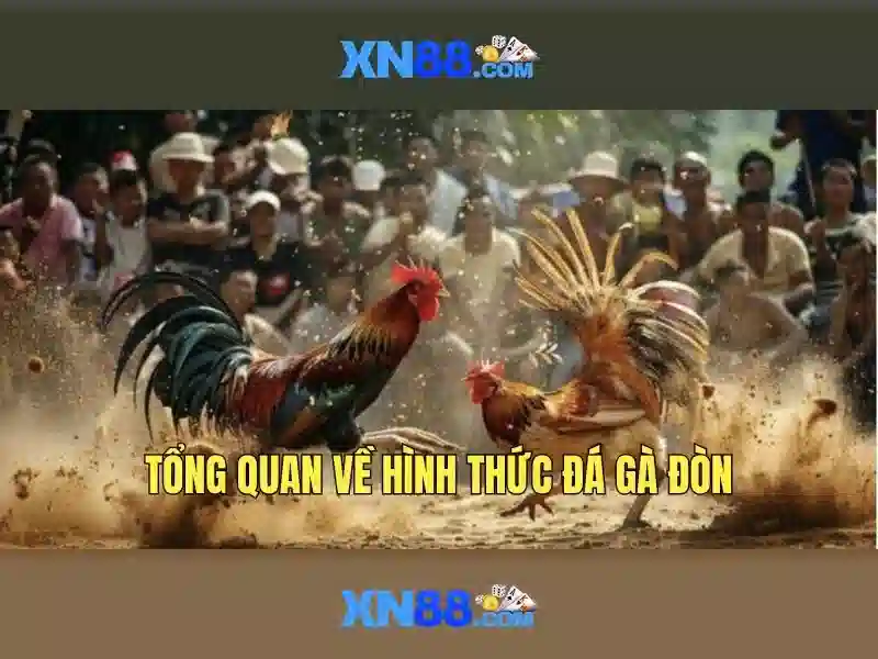 Thắng Lợi Với Tỷ Lệ Cao