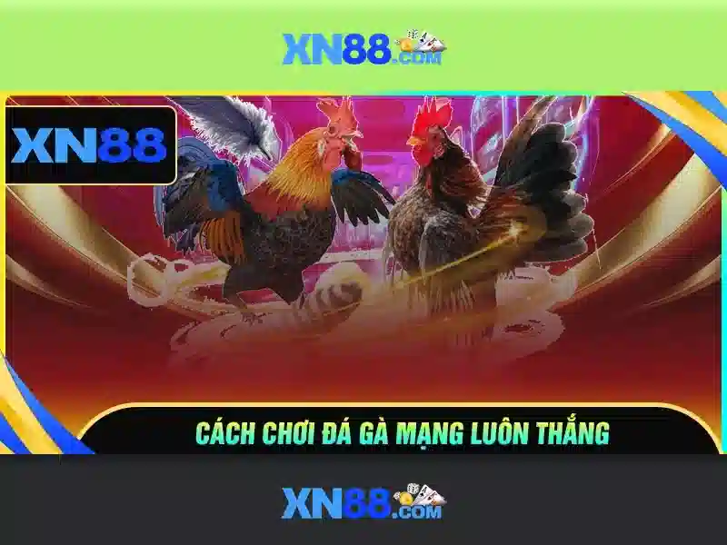 Lý Do Chọn Rút Tiền Nhanh XN88