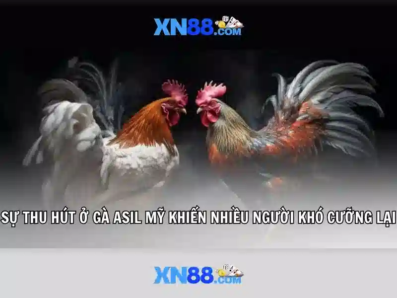 quy trình rút tiền Slot