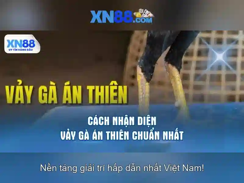 Tìm hiểu xn88 là gì