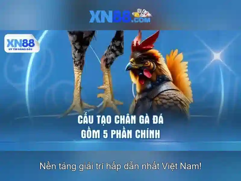 XN88 – Trải Nghiệm Slot Đỉnh Cao