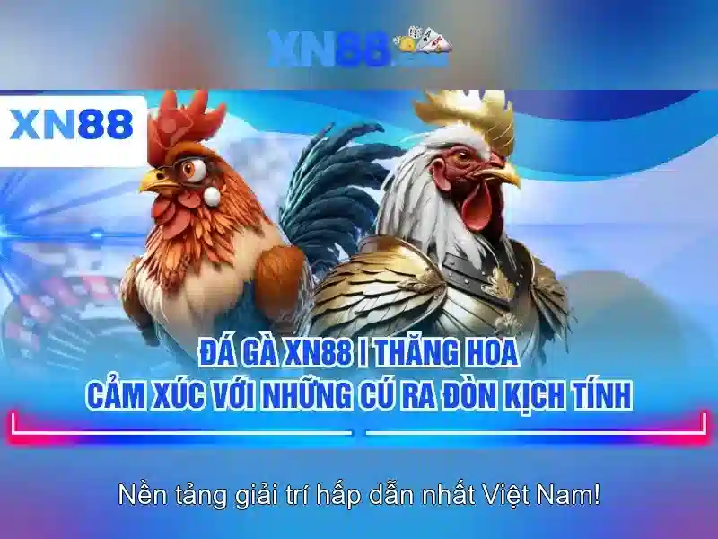 Ưu Đãi Độc Quyền Cho Thành Viên XN88