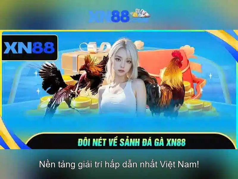 Trải nghiệm chơi game XN88