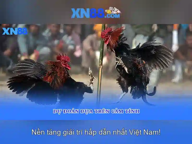 trải nghiệm an toàn cho người chơi