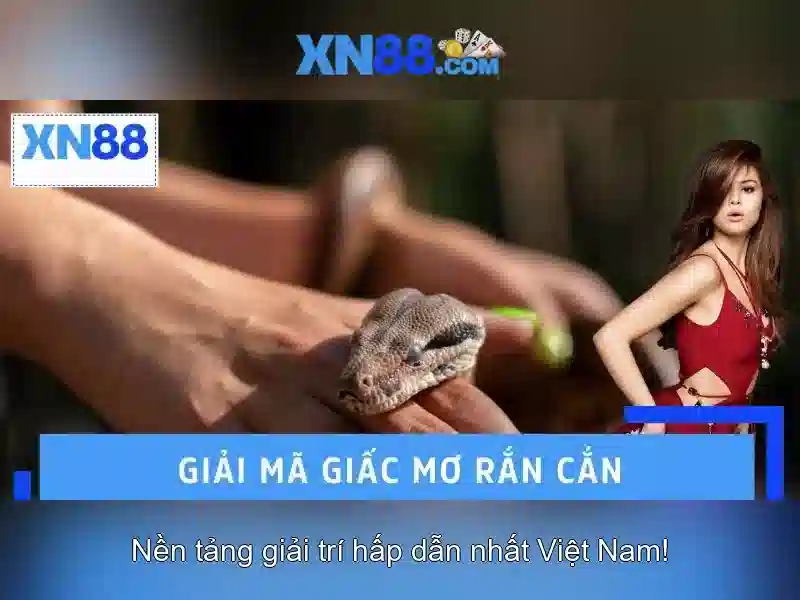 trải nghiệm cá cược trực tuyến
