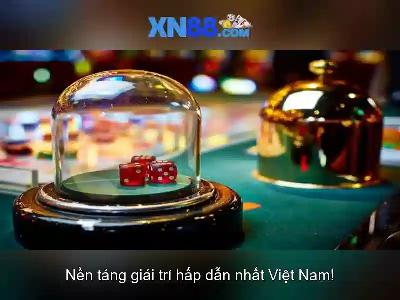 Đánh Giá XN88