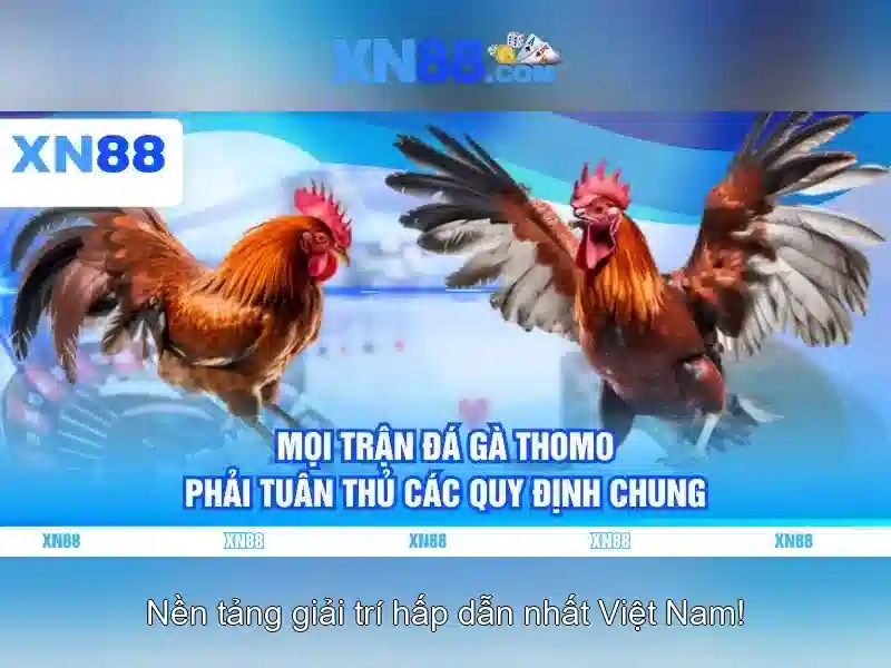 Kinh nghiệm chơi Slot trên XN88