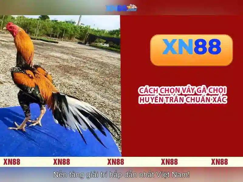 Ưu Điểm Của XN88 Uy Tín