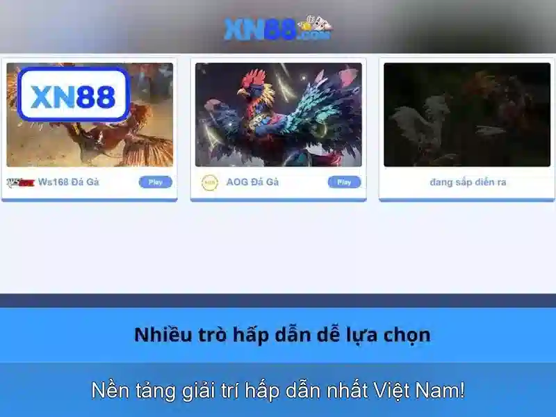 Ưu Điểm Nghiệm Của XN88
