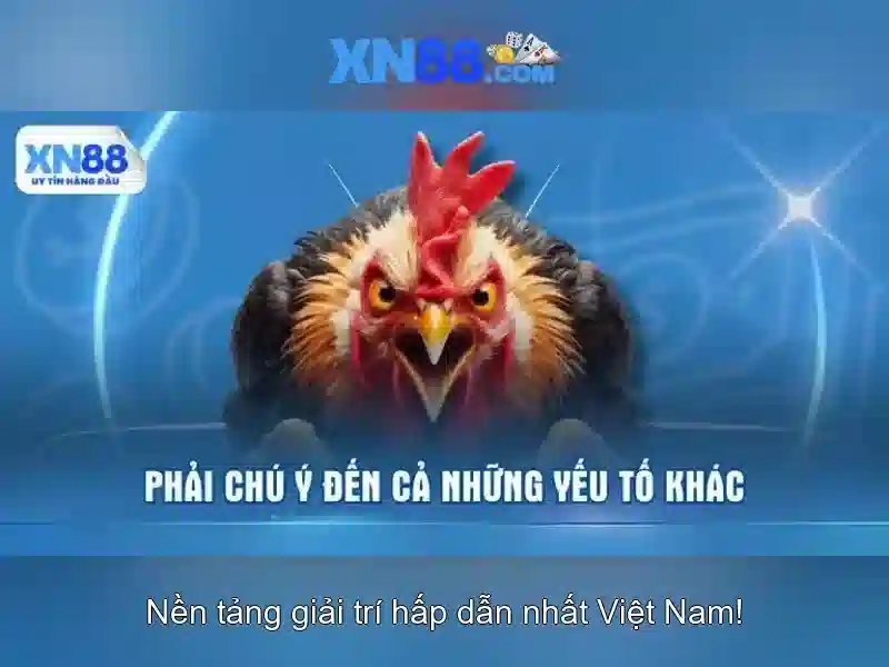 XN88 – Hướng Dẫn Tải Ứng Dụng Google Play Cho Người Chơi Slot