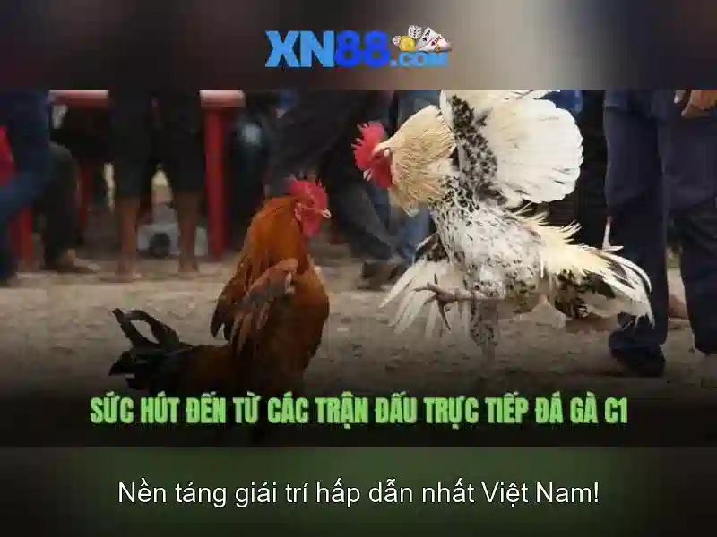 Công Nghệ XN88