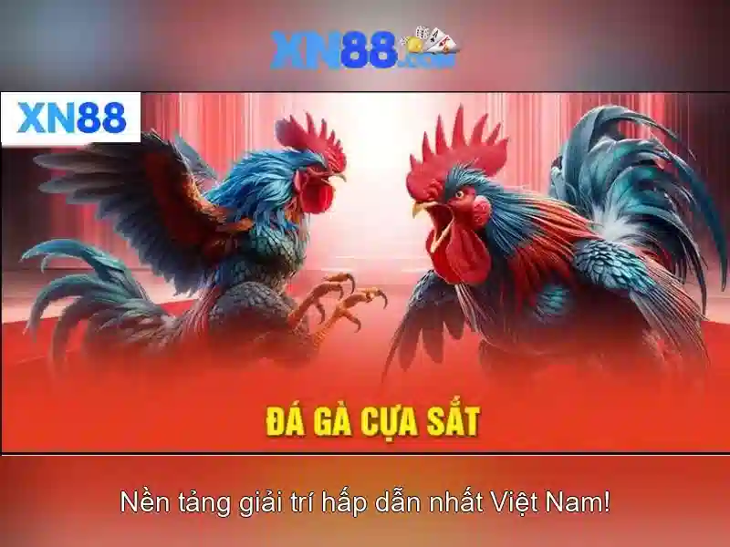 ưu đãi XN88