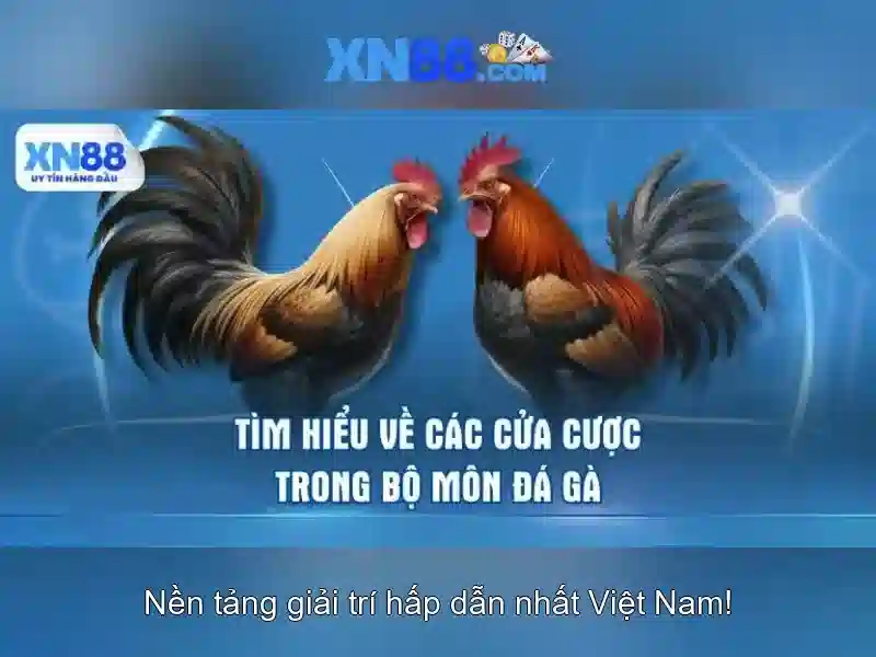 Trải nghiệm game bài trực tuyến XN88