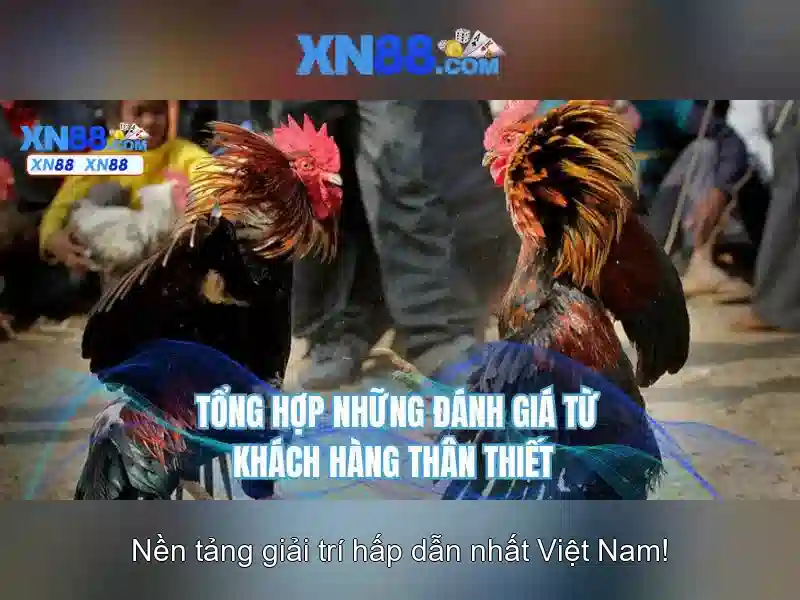 XN88 BSHRF - Trải Nghiệm Slot Đỉnh Cao Với Giao Diện Mới 2026