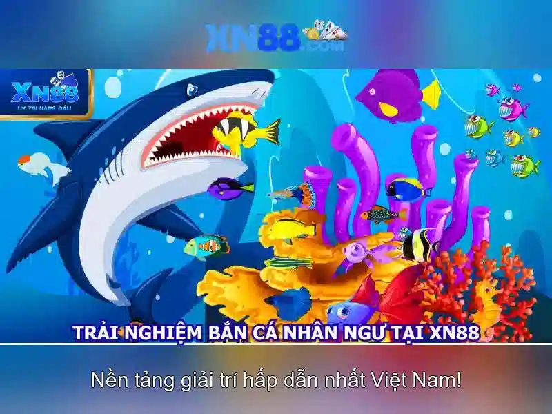 Ưu Đãi XN88