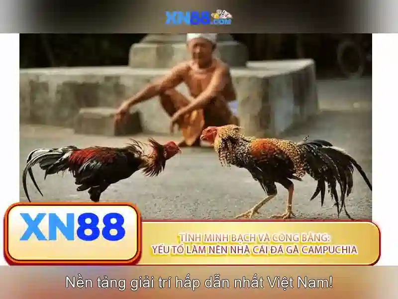 trải nghiệm Slot