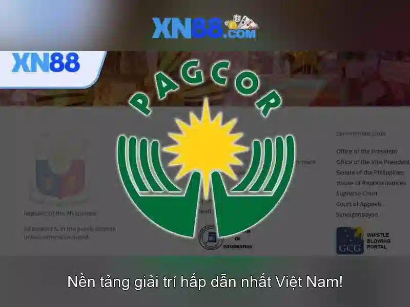 Giới Thiệu XN88
