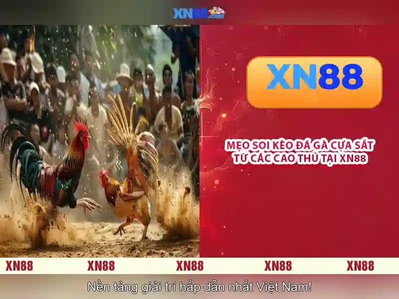 Kho Game SLOT Đa Dạng Tại XN88