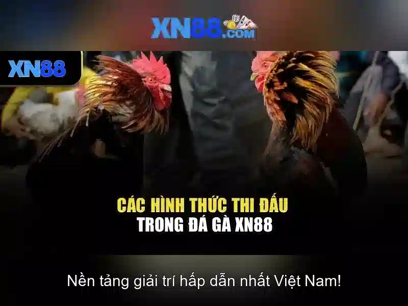 hướng dẫn slot