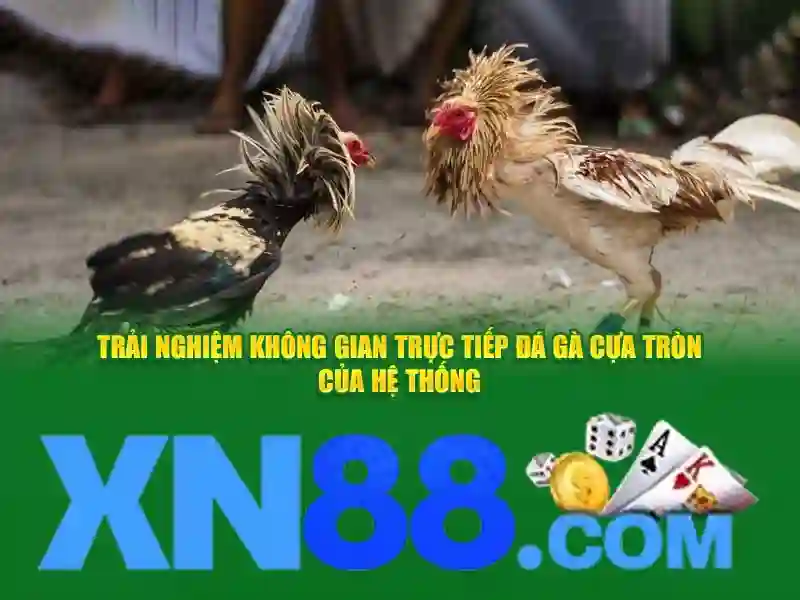 XN88 – Trải Nghiệm Slot Đỉnh Cao Với XN88 Không Bị Chặn 2026
